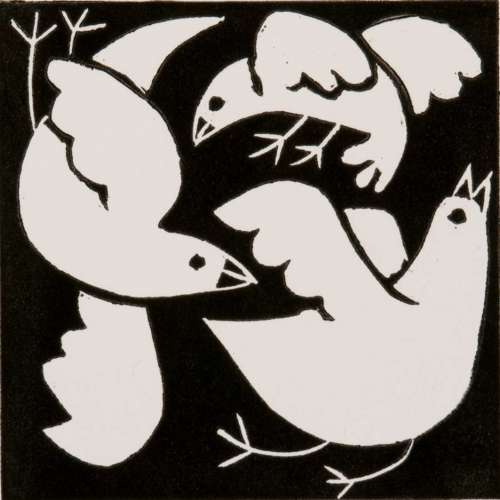 Swooping Birds